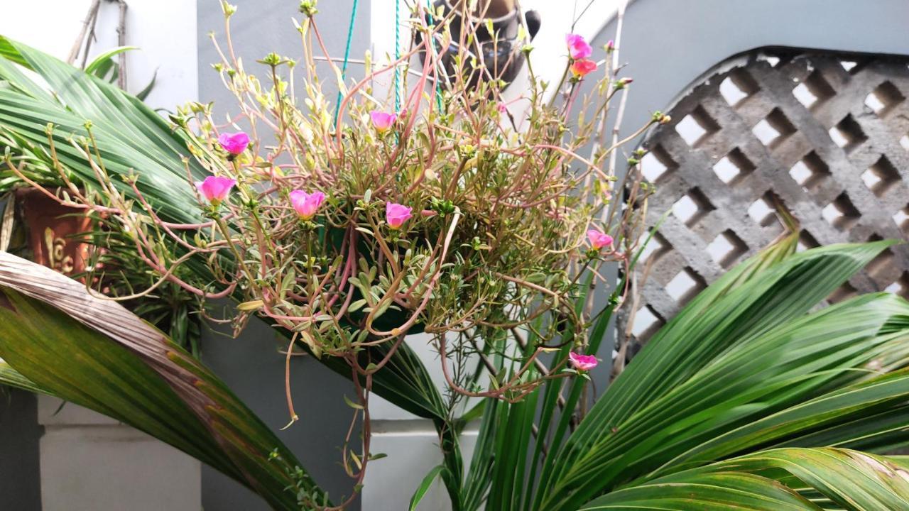 Homestay Nha Muoi กวีเญิน ภายนอก รูปภาพ